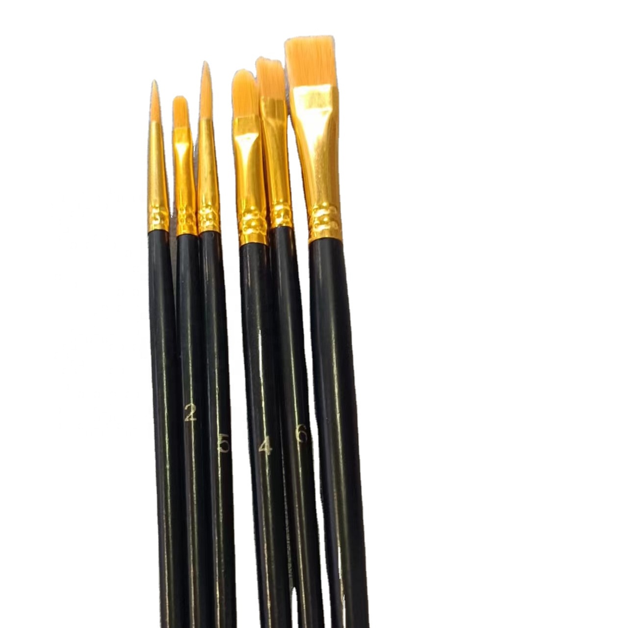 6 Pcs Paint Brushes ရေဆေးခြယ် Brushes သတ်မှတ်